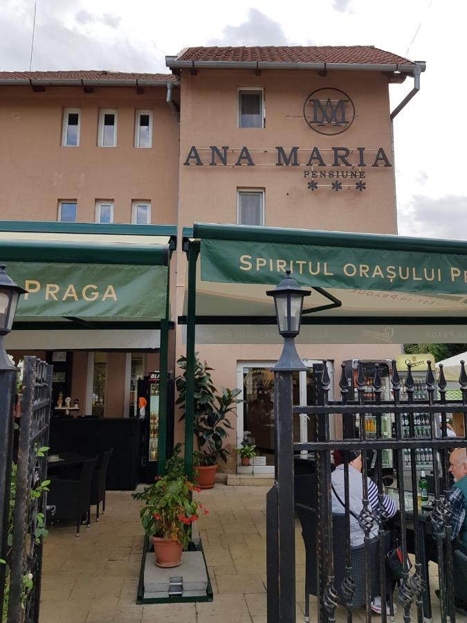Pensiunea Ana Maria Băile Felix Exterior photo