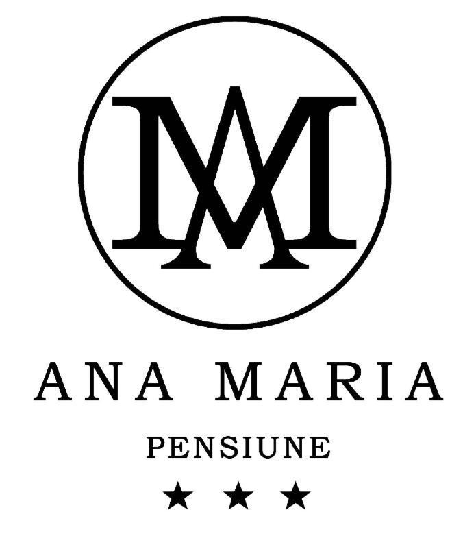 Pensiunea Ana Maria Băile Felix Exterior photo